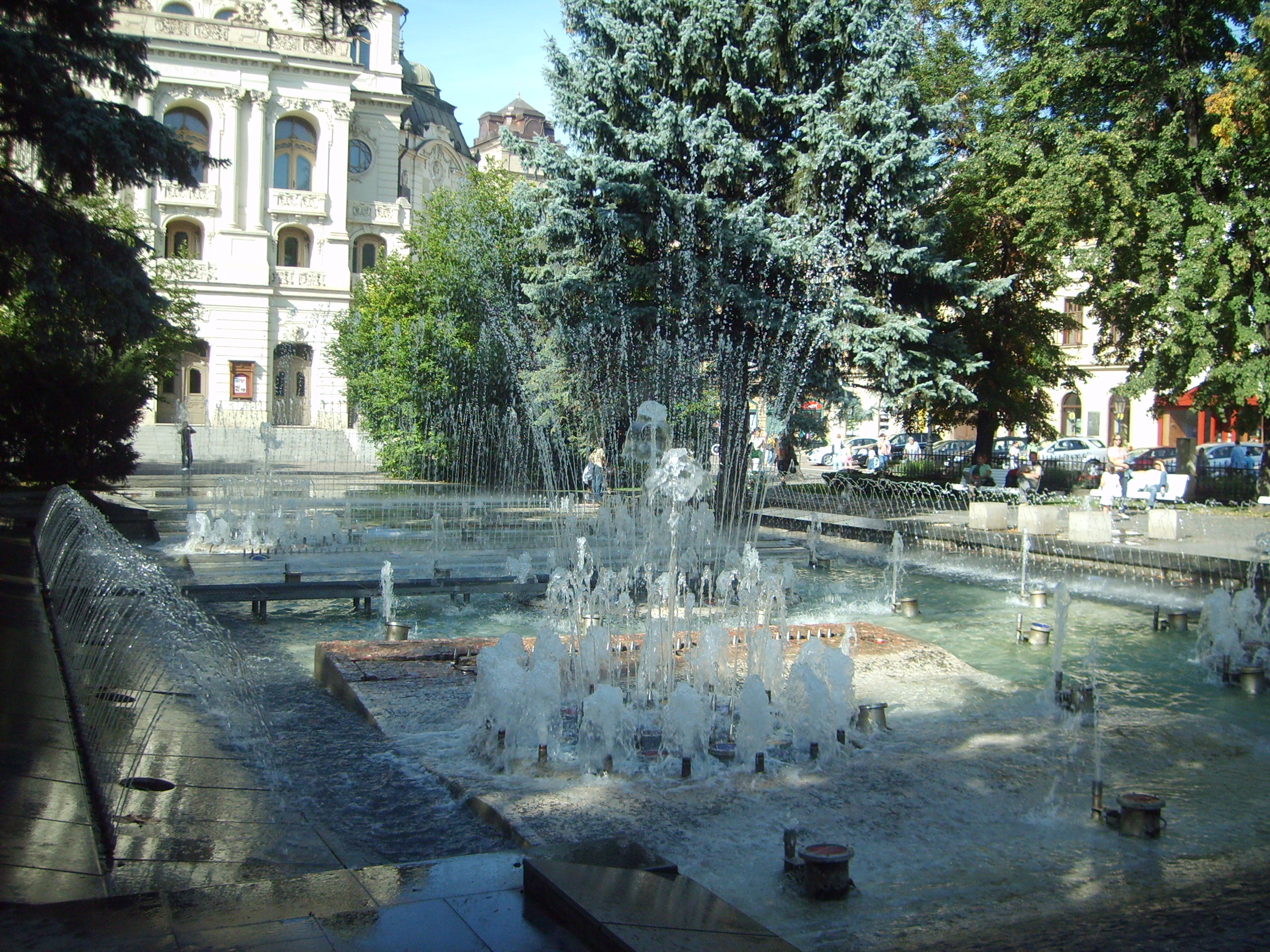 S5003724.JPG