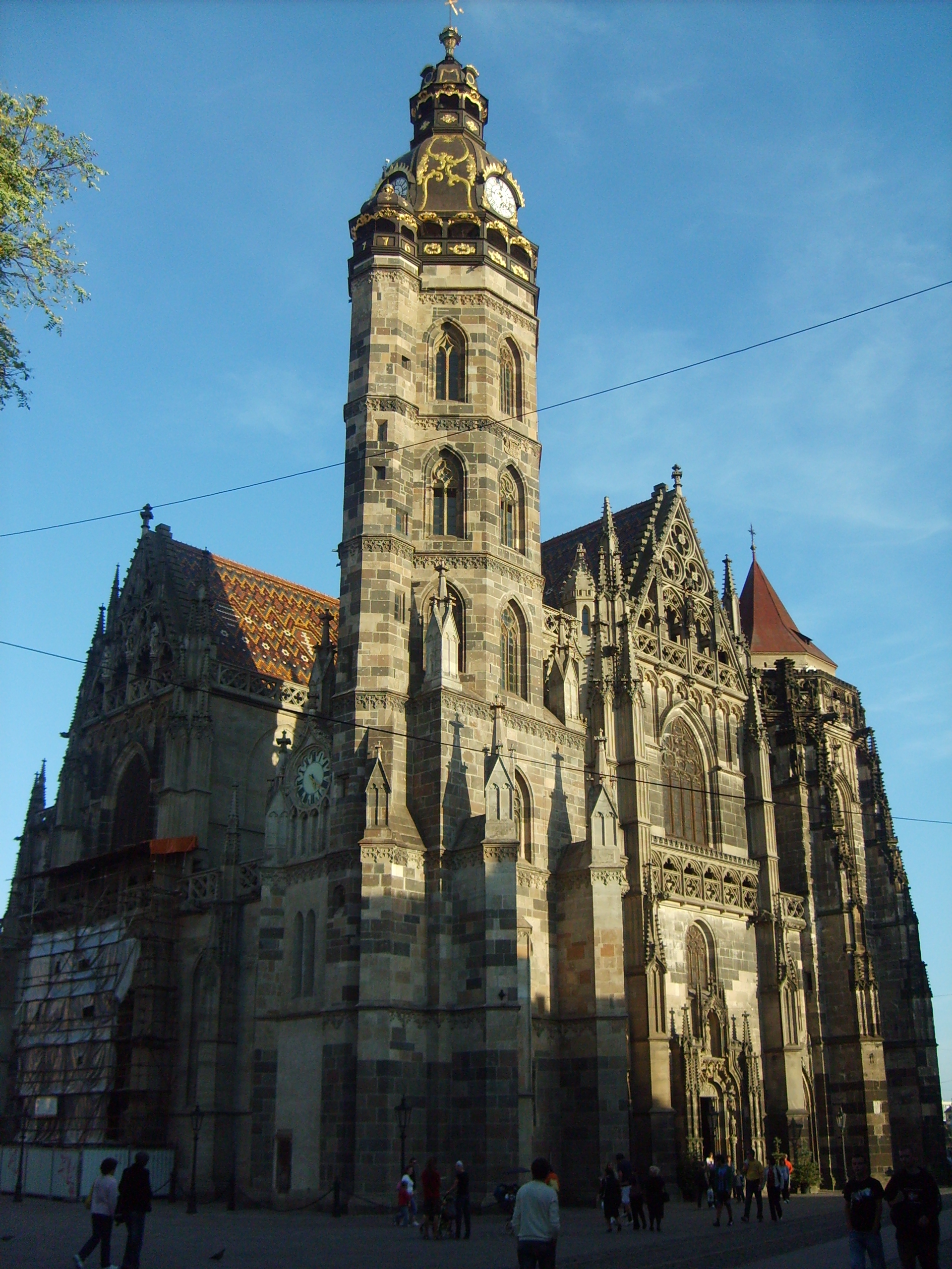 S5003738.JPG